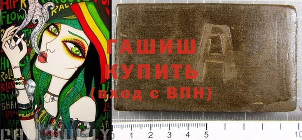 гашик Алексин