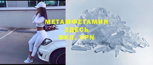 гашик Алексин