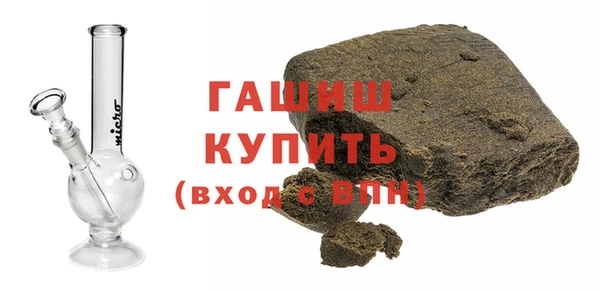 гашик Алексин