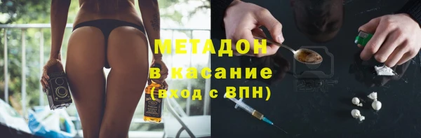 гашик Алексин