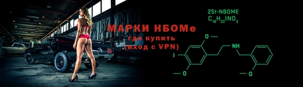 гашик Алексин