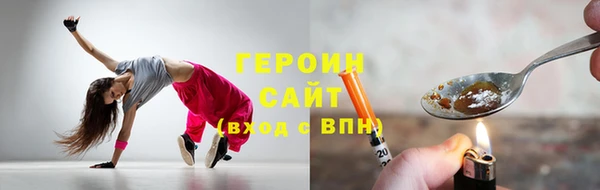 гашик Алексин