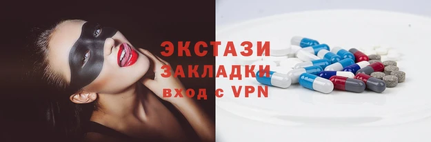 гашик Алексин
