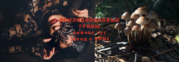 таблы Алексеевка