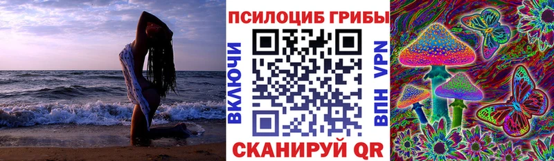 купить закладку  Калининск  Галлюциногенные грибы MAGIC MUSHROOMS 